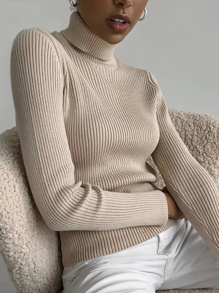 HeliWarm Women Autumn Turtleneck Knitted Sweater - Fall Winter