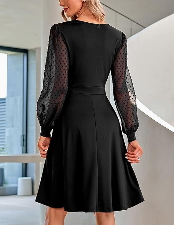 Silvara Elegant V-Neck Transparent Long Sleeve Mini Party Dress.